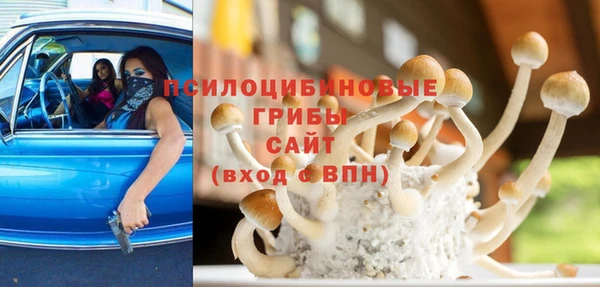синтетический гашиш Алексин