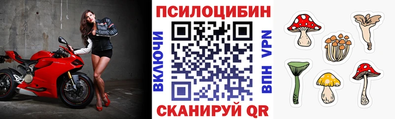 Галлюциногенные грибы Psilocybe магазин Трёхгорный